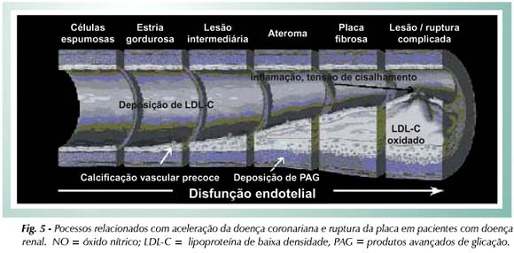 Imagem 5 da galeria