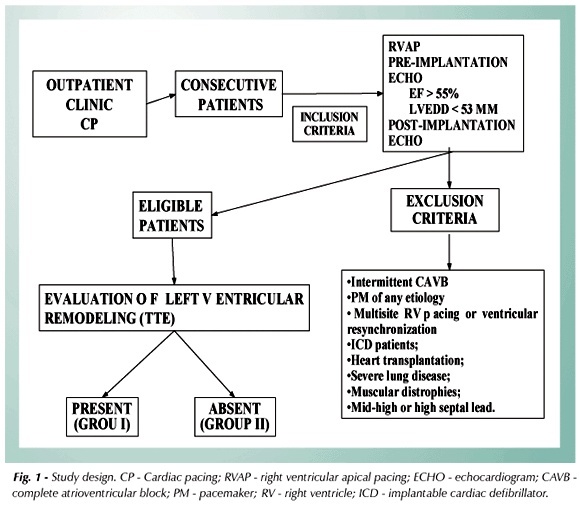 Ventricular remodeling in right ventricular apical pacing