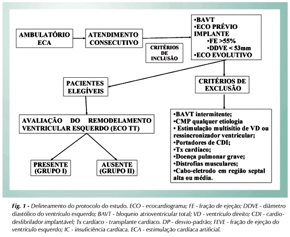 Imagem 1 da galeria