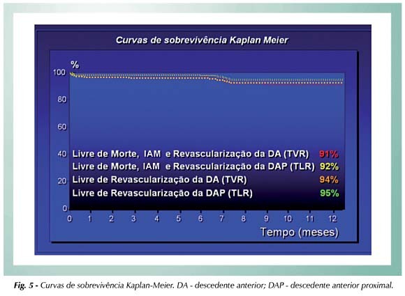 Imagem 5 da galeria