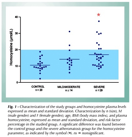 Homocysteine and methylenetetrahydrofolate reductase in subjects undergoing coronary angiography