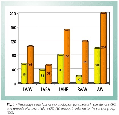Relative role of left ventricular geometric remodeling and of morphological and functional myocardial remodeling in the transition from compensated hypertrophy to heart failure in rats with supravalvar aortic stenosis