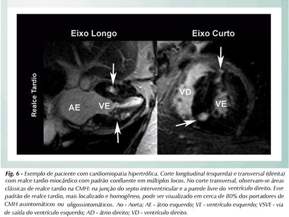 Imagem 6 da galeria
