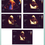 Imagem 1 da galeria