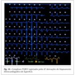 Imagem 1 da galeria