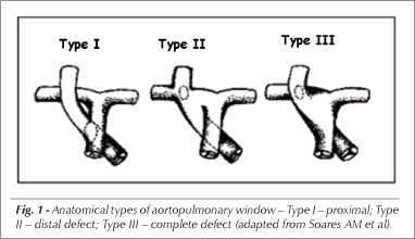 Aortopulmonary window: impact of associated lesions on surgical results