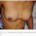 Imagem 3 da galeria