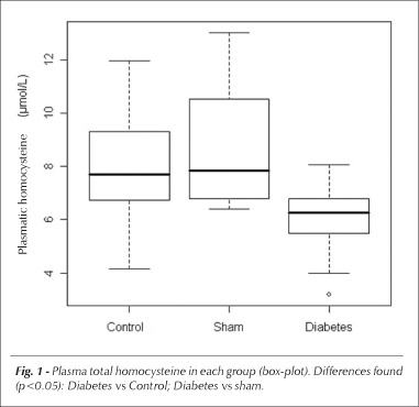 Total plasmatic homocysteine and von Willebrand factor in experimental diabetes mellitus