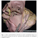 Imagem 2 da galeria