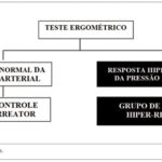Imagem 1 da galeria