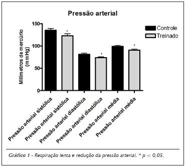 Imagem 3 da galeria