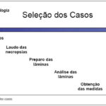 Imagem 1 da galeria