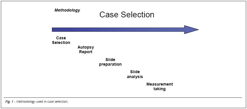 Medial hypertrophy in patients with pulmonary embolism: anatomopathological study