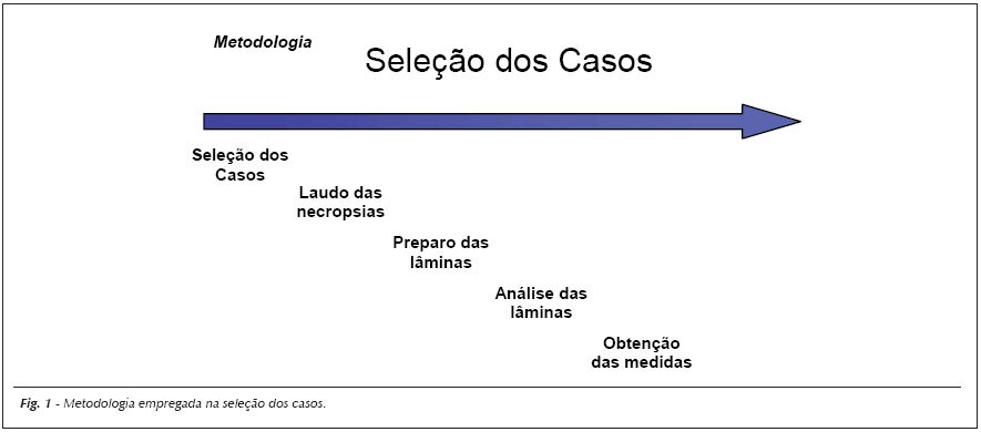 Imagem 1 da galeria