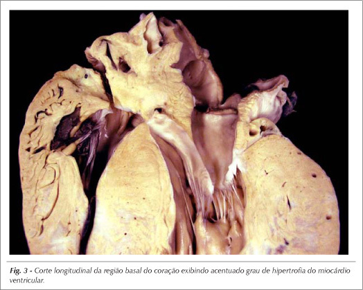 Imagem 3 da galeria