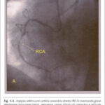 Imagem 1 da galeria