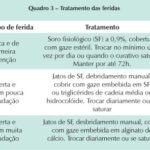 Imagem 3 da galeria