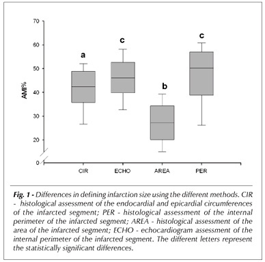 Comparison of different methods to measure experimental chronic infarction size in the rat model