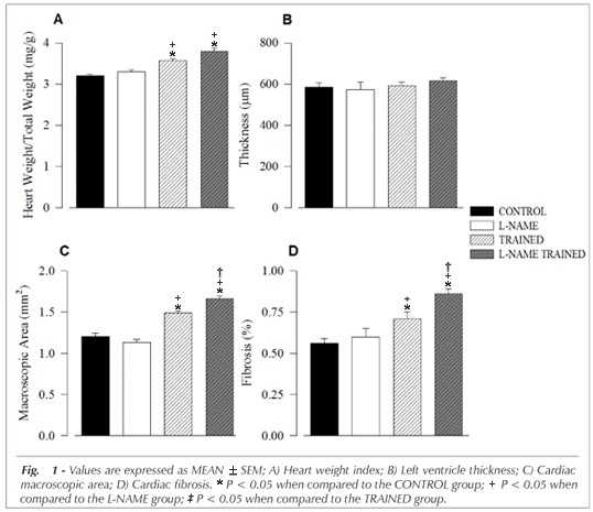 Figure 1B