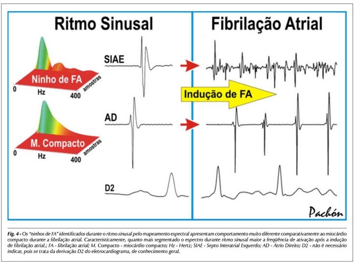 Imagem 4 da galeria