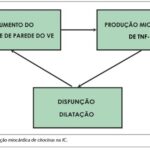 Imagem 1 da galeria