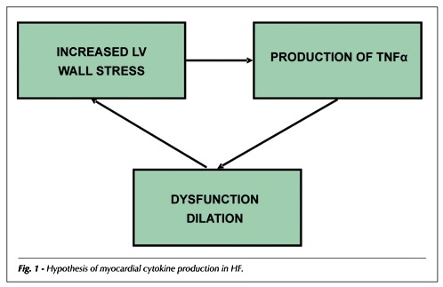 Immune-inflammatory activation in heart failure