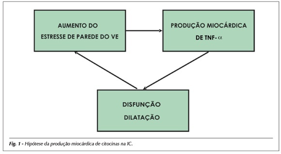 Imagem 1 da galeria