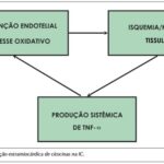 Imagem 2 da galeria