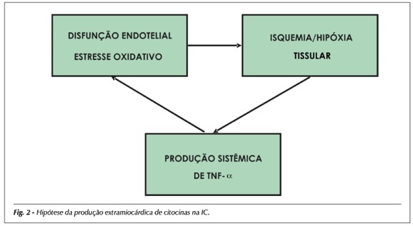 Imagem 2 da galeria