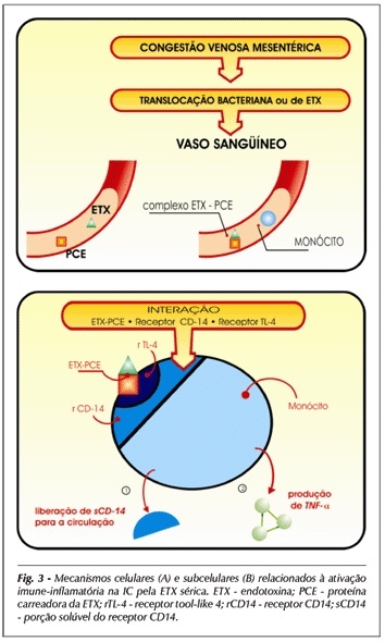 Imagem 3 da galeria