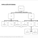 Imagem 1 da galeria