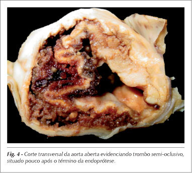 Imagem 4 da galeria