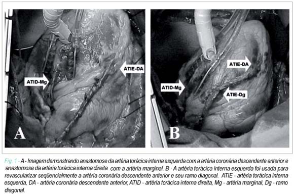 Imagem 1 da galeria