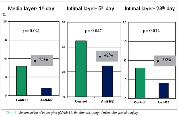 The importance of the interaction between leukocyte integrin Mac-1 and platelet glycoprotein Ib-a for leukocyte recruitment by platelets and for the inflammatory response to vascular injury