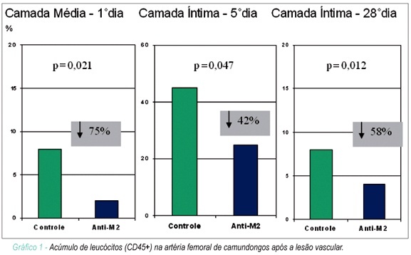 Importância da interação entre a integrina Mac-1 dos leucócitos e a glicoproteína Iba das plaquetas para o recrutamento de leucócitos pelas plaquetas e para a resposta inflamatória à lesão vascular