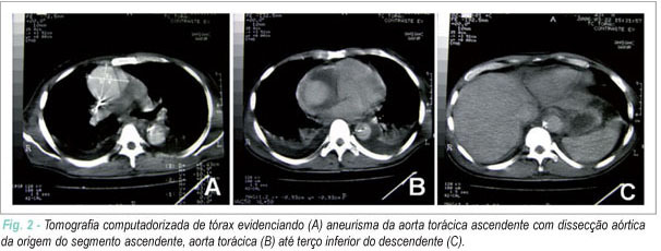 Imagem 1 da galeria