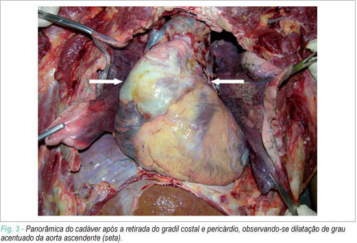 Imagem 3 da galeria
