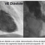 Imagem 2 da galeria