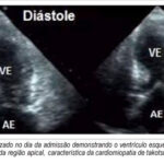Imagem 3 da galeria