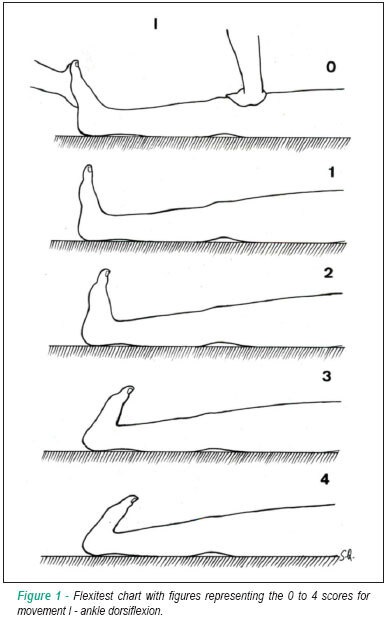 Flexibility assessment: normative values for flexitest from 5 to 91 years of age