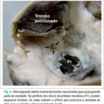Imagem 4 da galeria