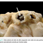 Imagem 5 da galeria