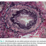 Imagem 9 da galeria