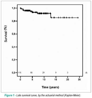 Unsupported valvuloplasty for degenerative mitral regurgitation: long-term results
