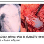 Imagem 3 da galeria