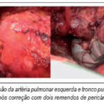 Imagem 4 da galeria