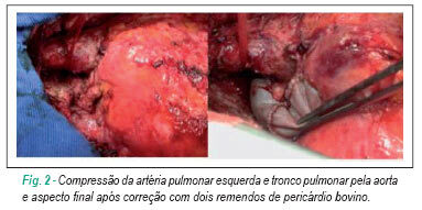 Imagem 4 da galeria
