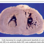 Imagem 2 da galeria