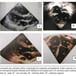 Imagem 1 da galeria