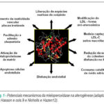 Imagem 1 da galeria